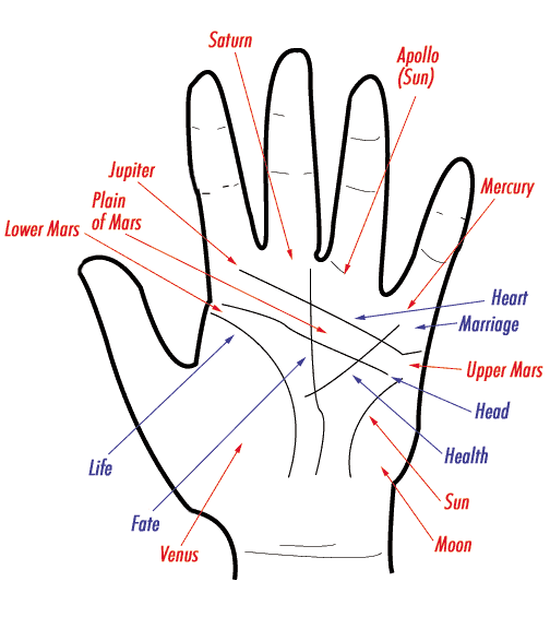palm ymbols and their meaning