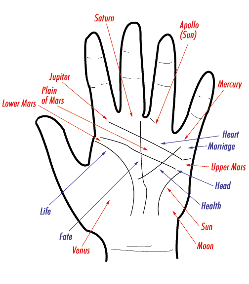 Simple Palmistry Chart